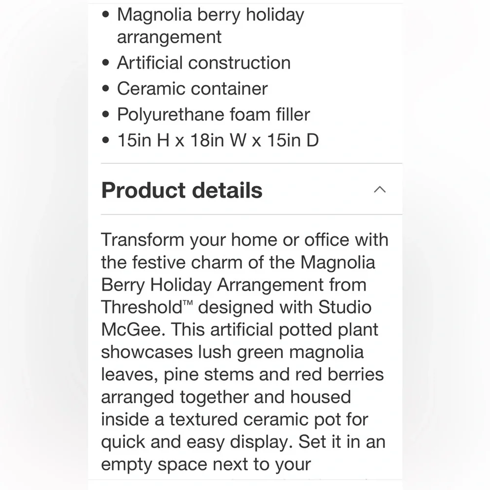 STUDIO MCGEE NWT magnolia berry holiday arrangement-15”